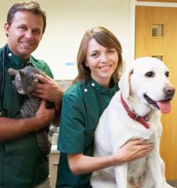 1773280_Our_Veterinary_Staff___Rome_City__IN___Sylvan_Lake_Animal_Clinic___Image_8.jpg